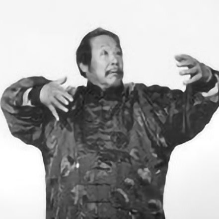 3 ÉTAPES DU ZHANZHUANG<br>