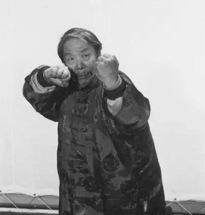 3 Fasi dello Zhan Zhuang P.1/3