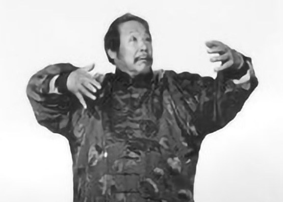 3 Fasi dello Zhan Zhuang P.1/3